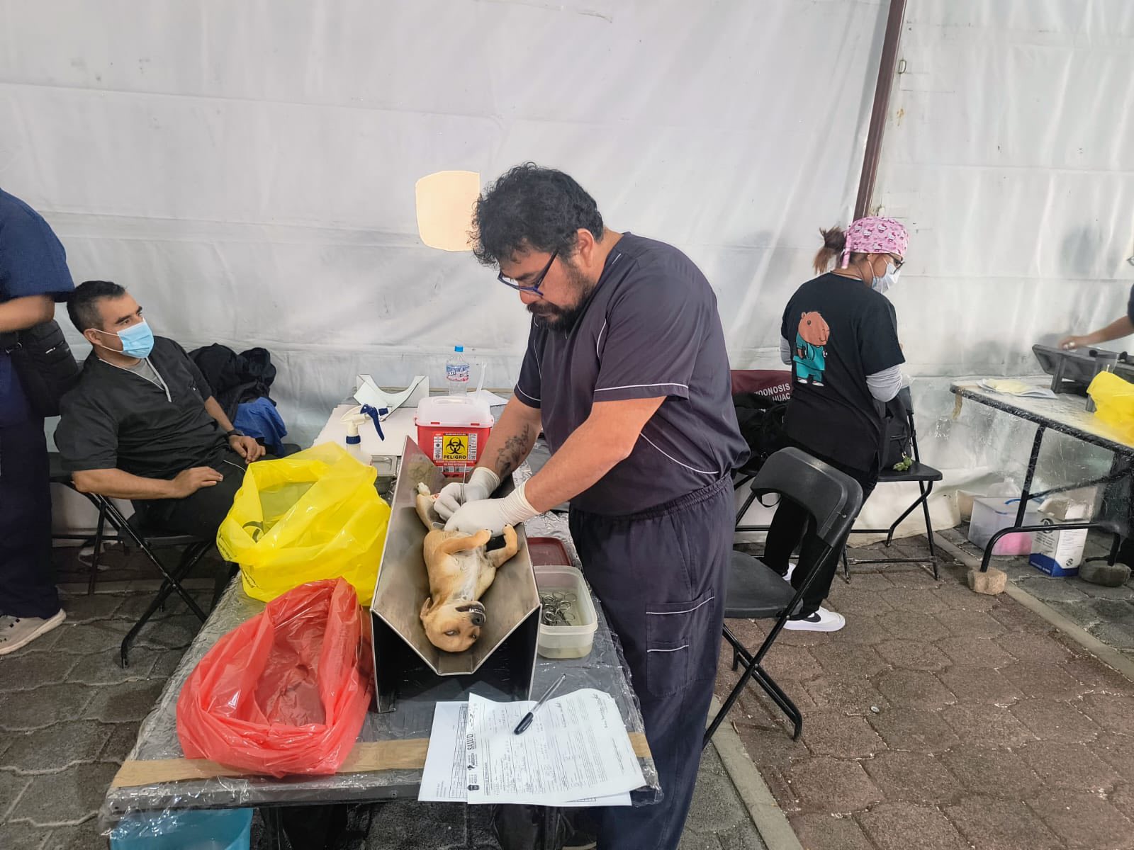 560331741_122111221484997672_7221710862741284985_n